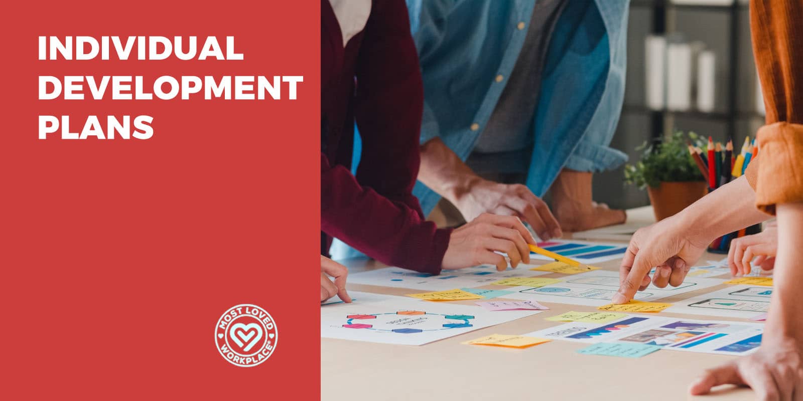 Individual Development Plans