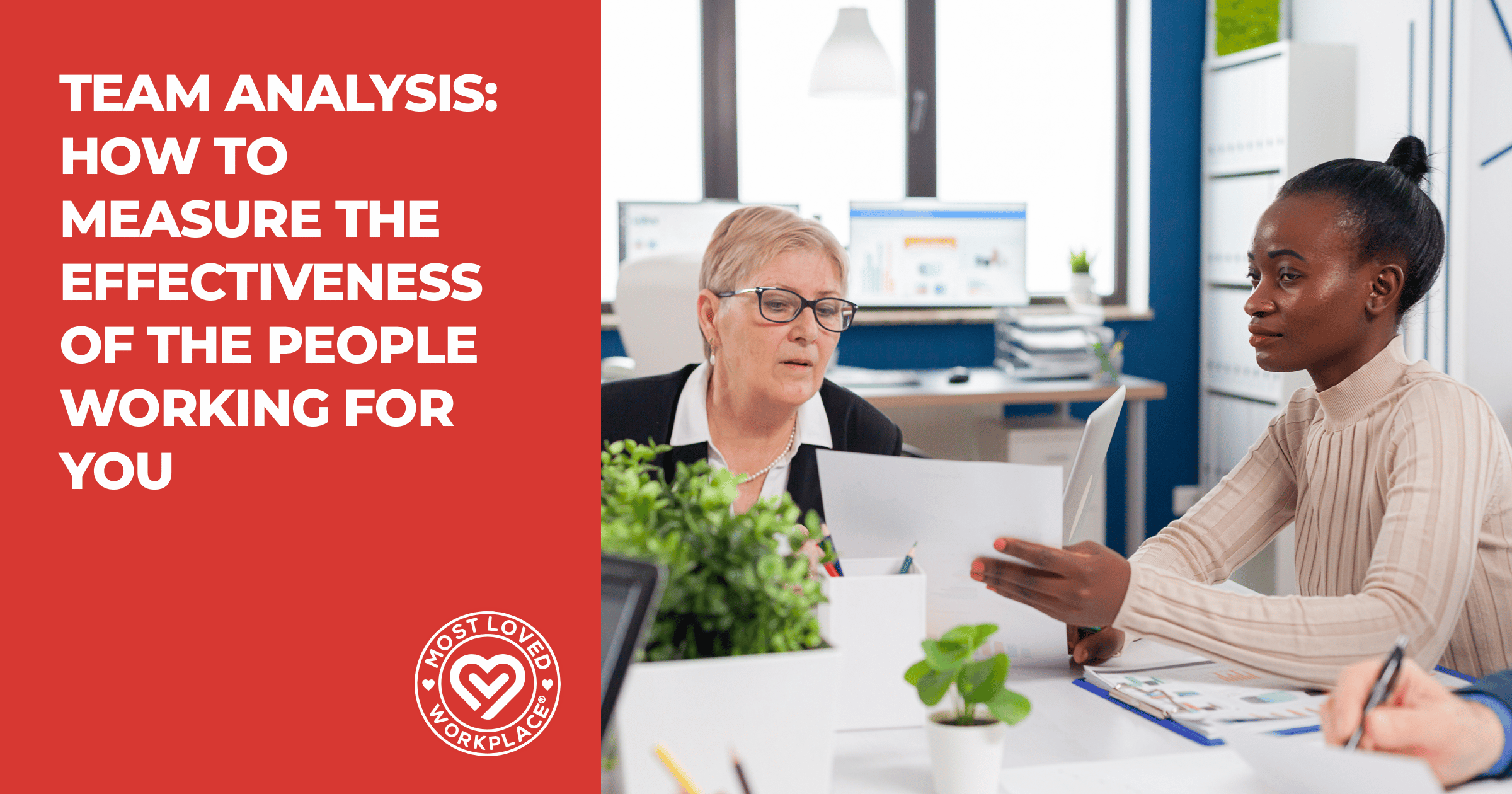 Team Analysis: How To Measure the Effectiveness of the People Working for You