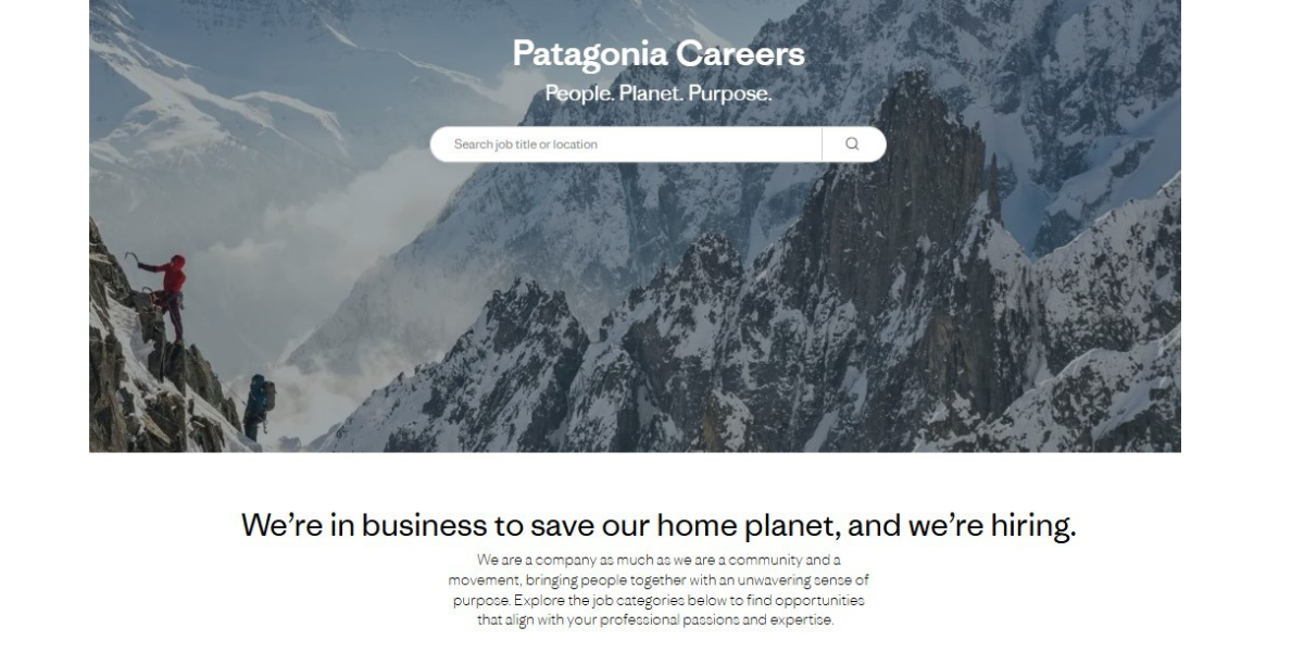 patagonia career page