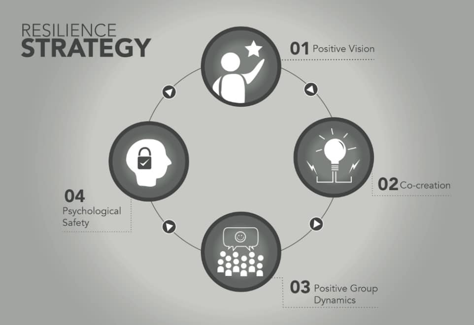 Figure 1.1 Carter Resilience Strategy 