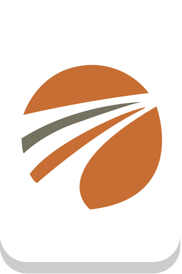 Best Practice Institute favicon