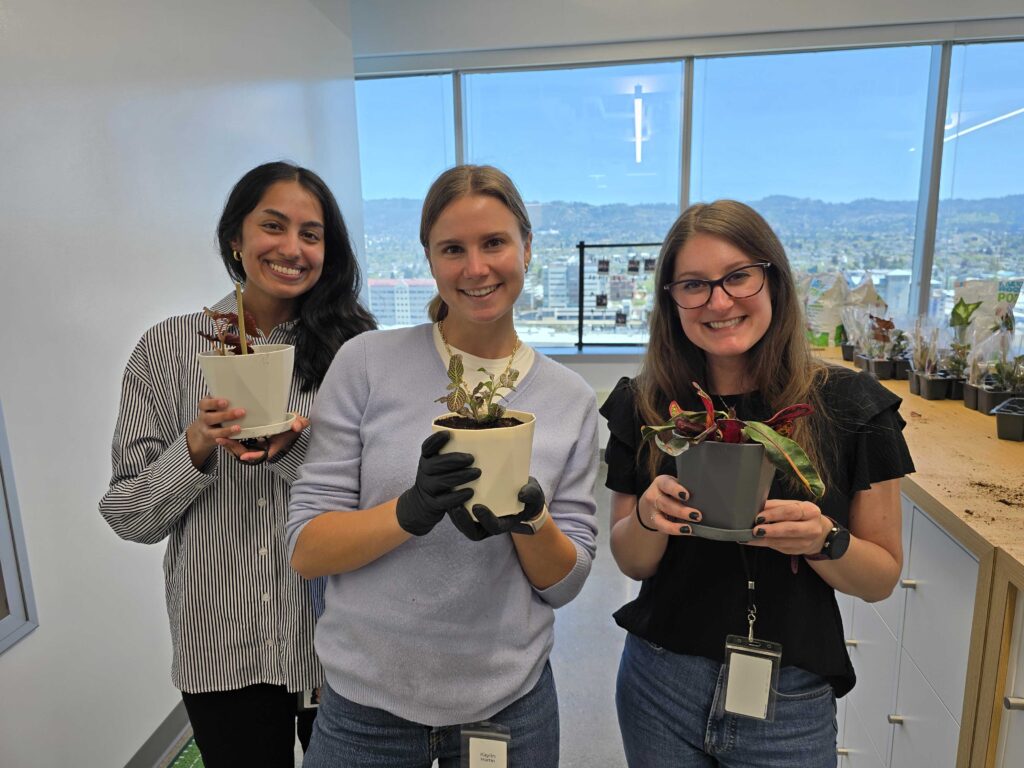 Tanium workplace fostering cross-functional teamwork