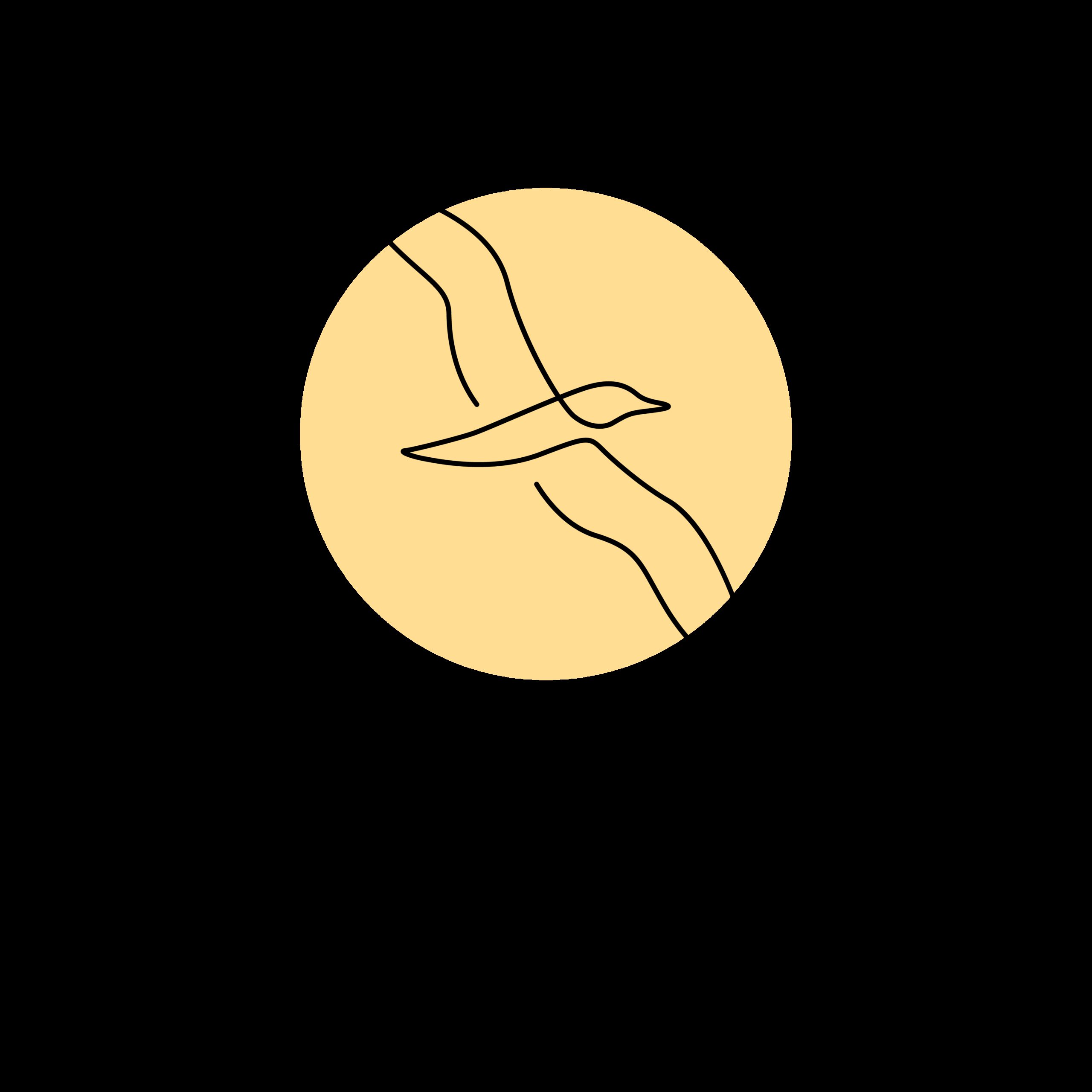 Shearwater Health logo
