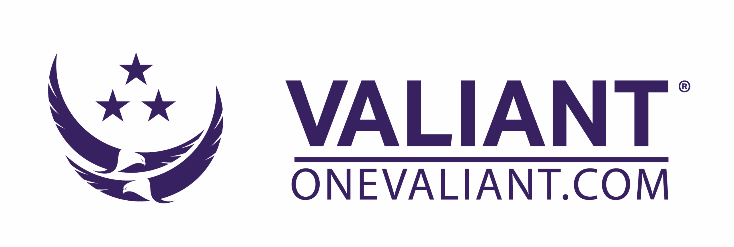 Valiant Integrated Services logo