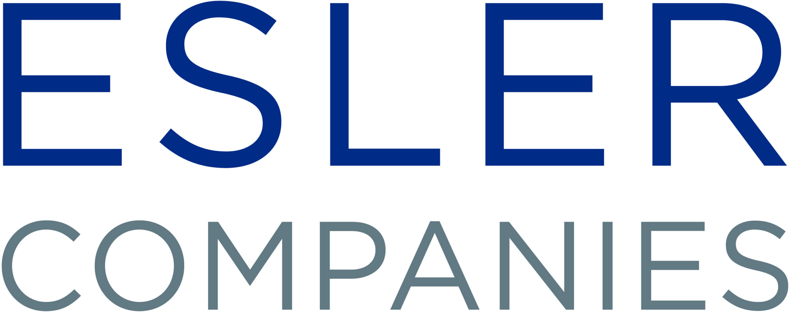 Esler Companies logo